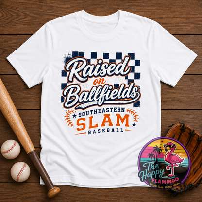 DriFit Slam Raised on Ballfields Tee